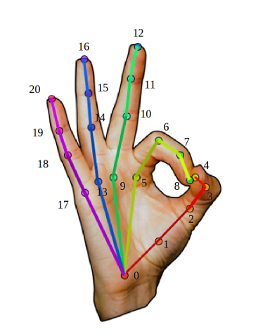 21 Keypoint hand model